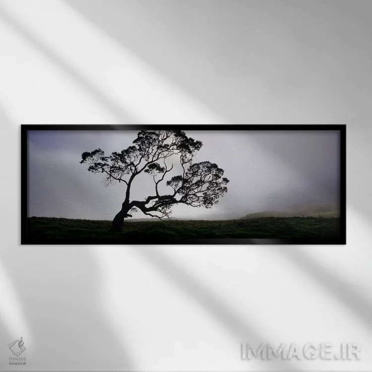 تابلو دکوراتیو Mauna Kea, Kamuela, Big Island, Hawaii, USA,سایه درخت ک… اثر پانورامیک ایمجز - نمای قابدار مشکی