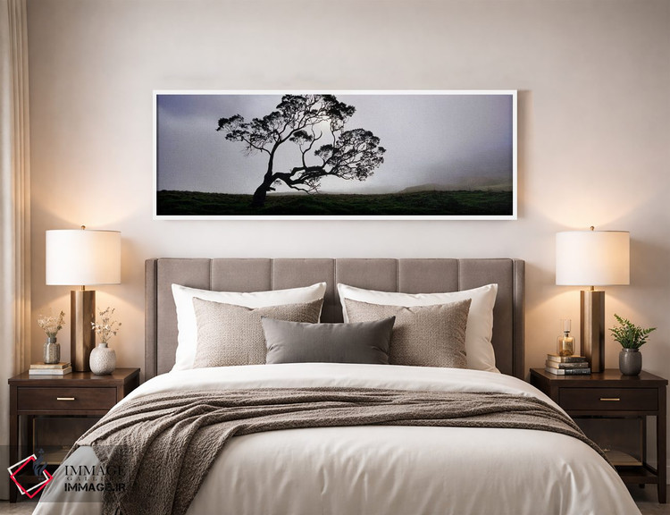 تابلو دکوراتیو Mauna Kea, Kamuela, Big Island, Hawaii, USA,سایه درخت ک… اثر پانورامیک ایمجز - D4W