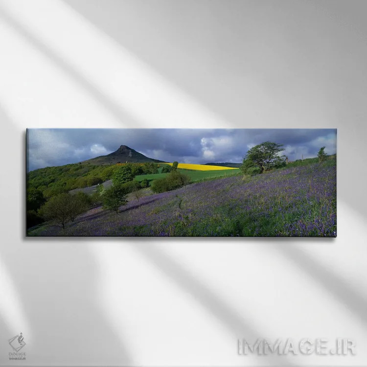 تابلو دکوراتیو North Yorkshire, England, United Kingdom,گل های بلوبل د… اثر پانورامیک ایمجز - نمای روبهرو روی دیوار