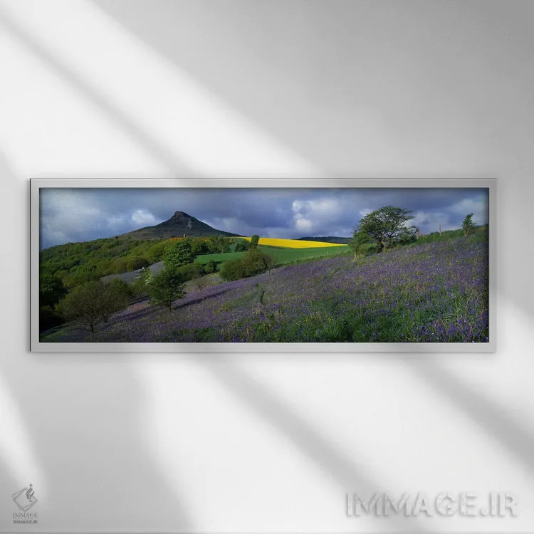 تابلو دکوراتیو North Yorkshire, England, United Kingdom,گل های بلوبل د… اثر پانورامیک ایمجز - نمای قابدار سفید