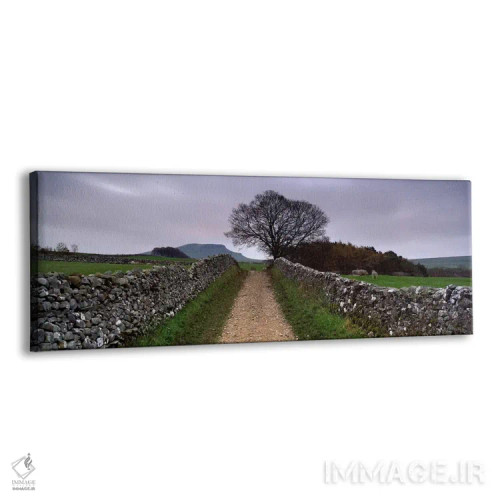 تابلو دکوراتیو Yorkshire Dales, England, United Kingdom,دیوارهای سنگی… اثر پانورامیک ایمجز - نمای پرسپکتیو محصول