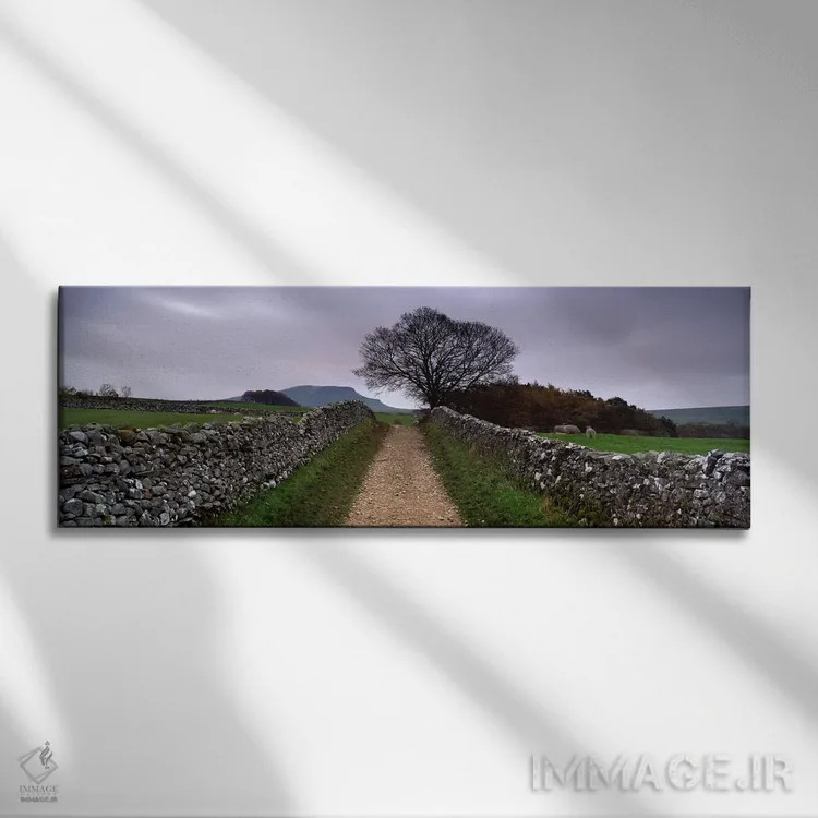 تابلو دکوراتیو Yorkshire Dales, England, United Kingdom,دیوارهای سنگی… اثر پانورامیک ایمجز - نمای روبهرو روی دیوار
