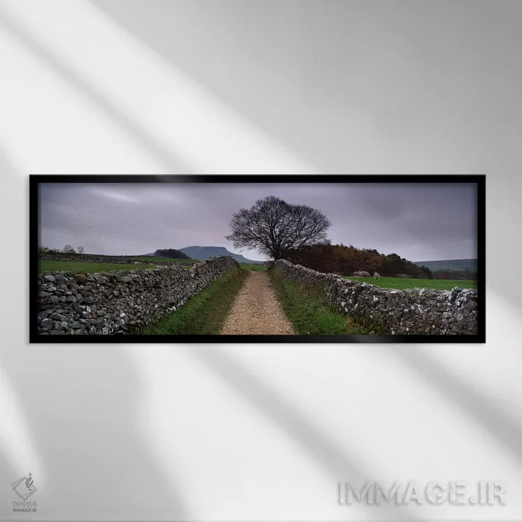 تابلو دکوراتیو Yorkshire Dales, England, United Kingdom,دیوارهای سنگی… اثر پانورامیک ایمجز - نمای قابدار مشکی