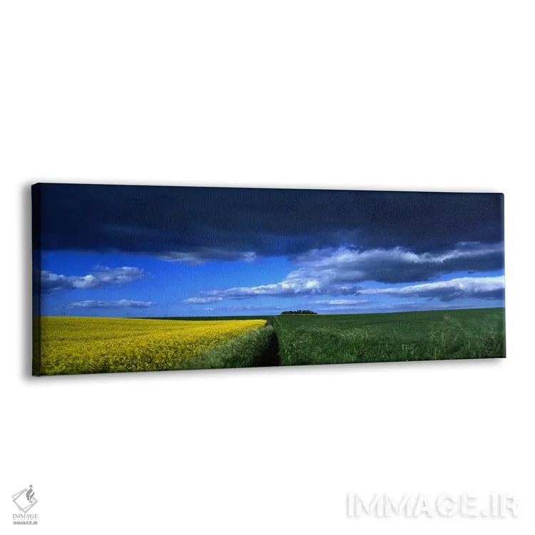 تابلو دکوراتیو Yorkshire Wolds, North Yorkshire, England, United Kingd… اثر پانورامیک ایمجز - نمای پرسپکتیو محصول