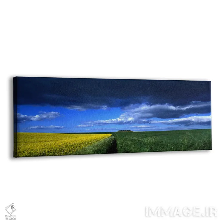 تابلو دکوراتیو Yorkshire Wolds, North Yorkshire, England, United Kingd… اثر پانورامیک ایمجز - نمای پرسپکتیو محصول