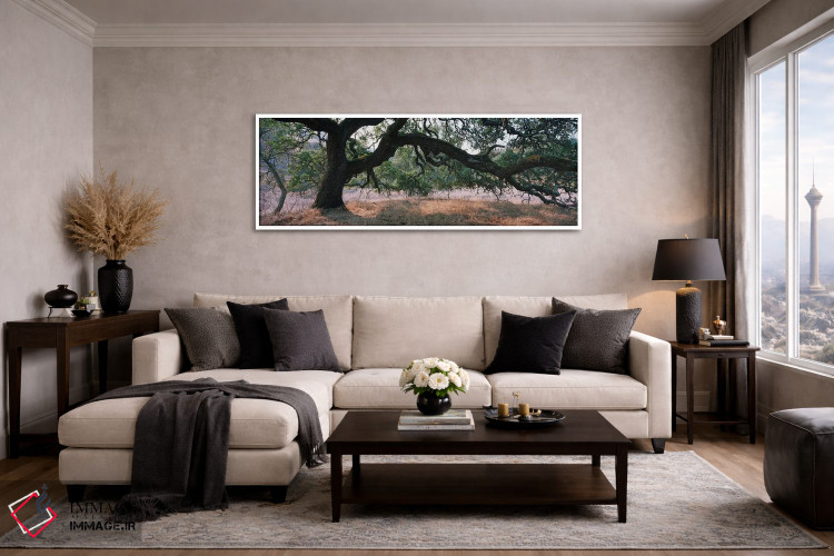 تابلو دکوراتیو Sonoma County, California, USA,جنگل بلوط، شهرستان سونوم… اثر پانورامیک ایمجز - D4W