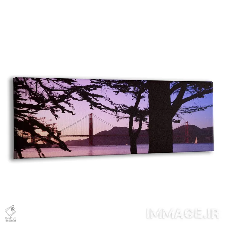تابلو دکوراتیو Golden Gate Bridge, San Francisco, California, USA,پل م… اثر پانورامیک ایمجز - نمای پرسپکتیو محصول