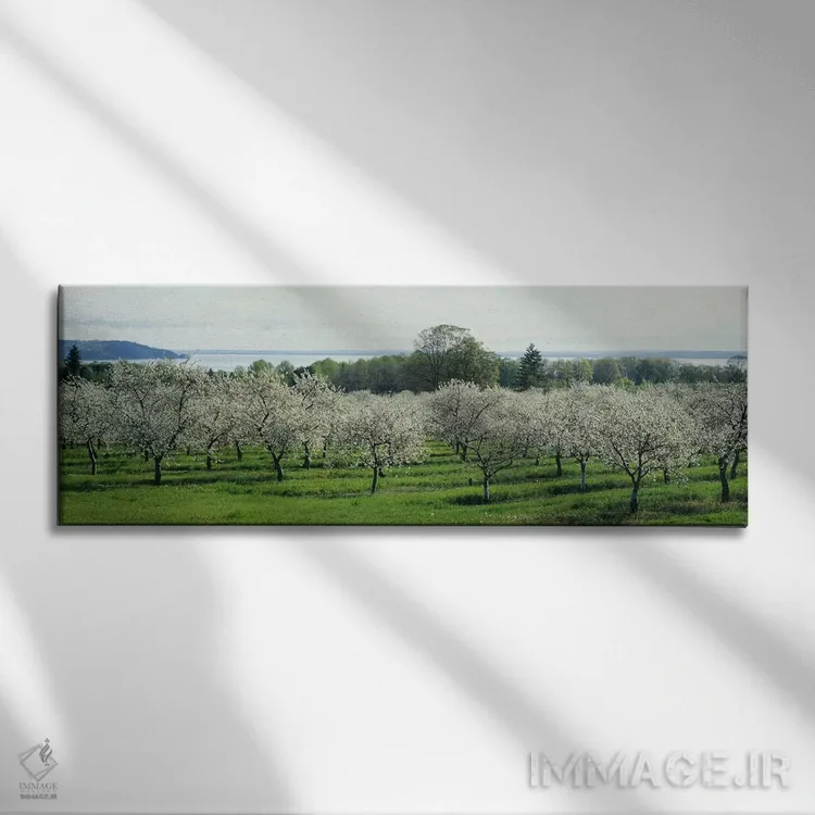 تابلو دکوراتیو Traverse City, Old Mission Peninsula, Michigan, USA,شکو… اثر پانورامیک ایمجز - نمای روبهرو روی دیوار