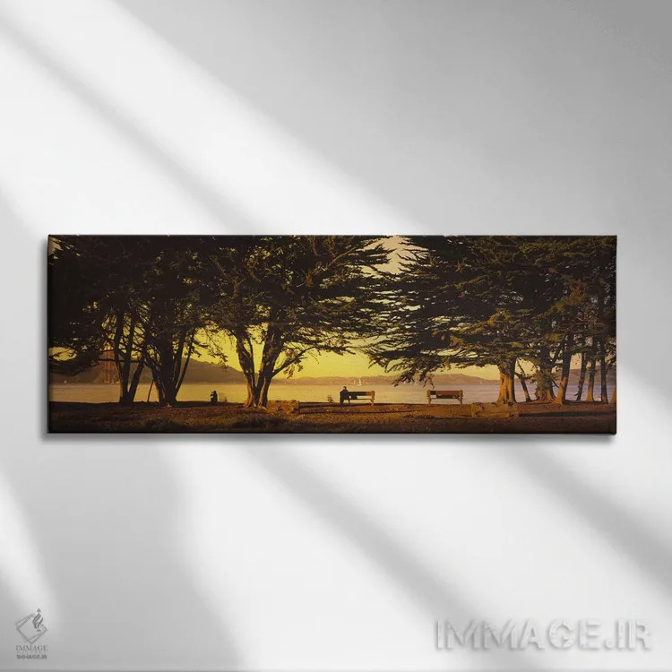تابلو دکوراتیو Crissy Field, San Francisco, California, USA,درختان در… اثر پانورامیک ایمجز - نمای روبهرو روی دیوار