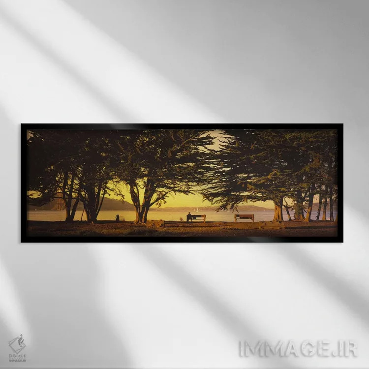 تابلو دکوراتیو Crissy Field, San Francisco, California, USA,درختان در… اثر پانورامیک ایمجز - نمای قابدار مشکی