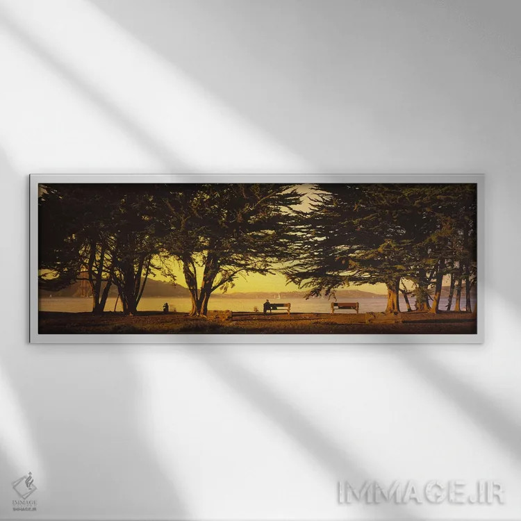تابلو دکوراتیو Crissy Field, San Francisco, California, USA,درختان در… اثر پانورامیک ایمجز - نمای قابدار سفید