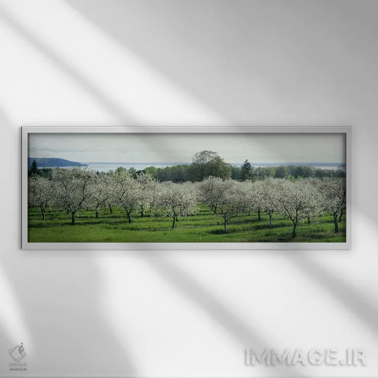 تابلو دکوراتیو Traverse City, Old Mission Peninsula, Michigan, USA,شکو… اثر پانورامیک ایمجز - نمای قابدار سفید