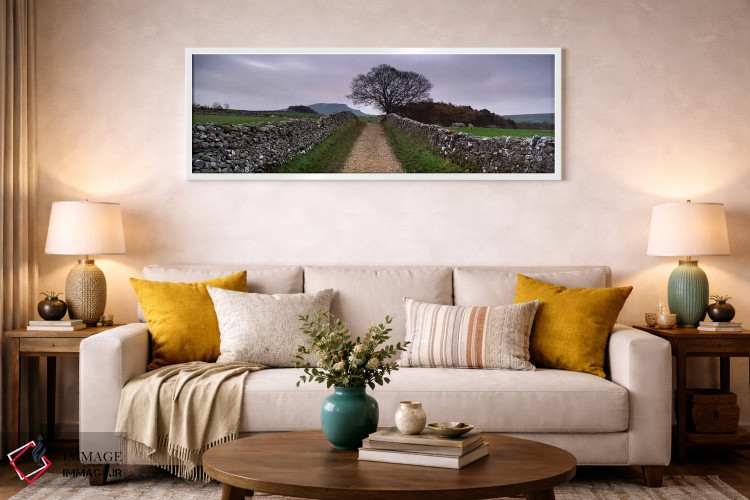 تابلو دکوراتیو Yorkshire Dales, England, United Kingdom,دیوارهای سنگی… اثر پانورامیک ایمجز - D1W