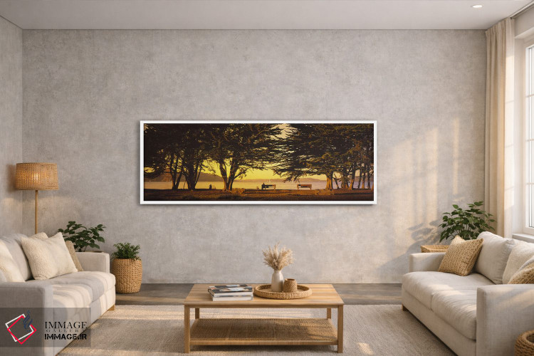 تابلو دکوراتیو Crissy Field, San Francisco, California, USA,درختان در… اثر پانورامیک ایمجز - D3W