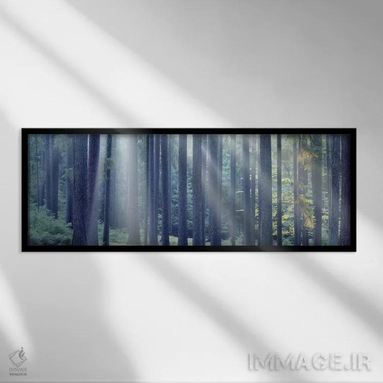 تابلو دکوراتیو South Bohemia, Czech Republic,عبور نور خورشید از میان د… اثر پانورامیک ایمجز - نمای قابدار مشکی