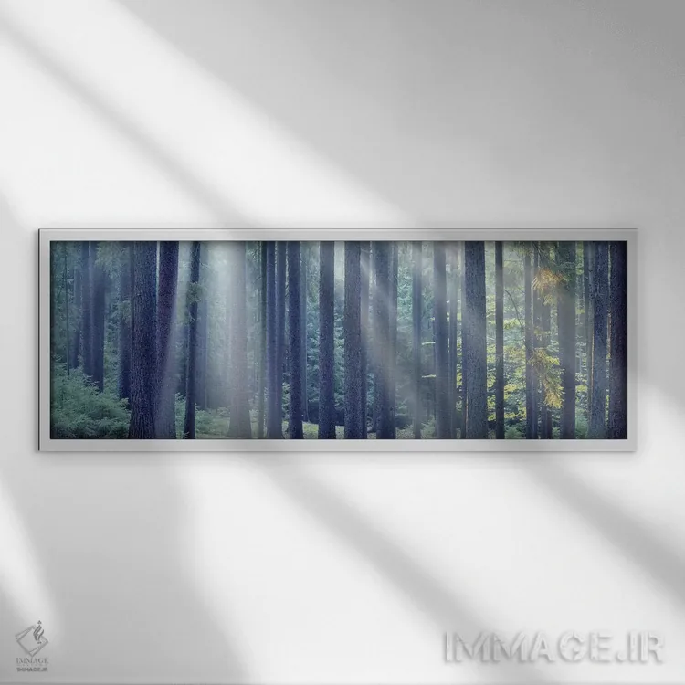 تابلو دکوراتیو South Bohemia, Czech Republic,عبور نور خورشید از میان د… اثر پانورامیک ایمجز - نمای قابدار سفید