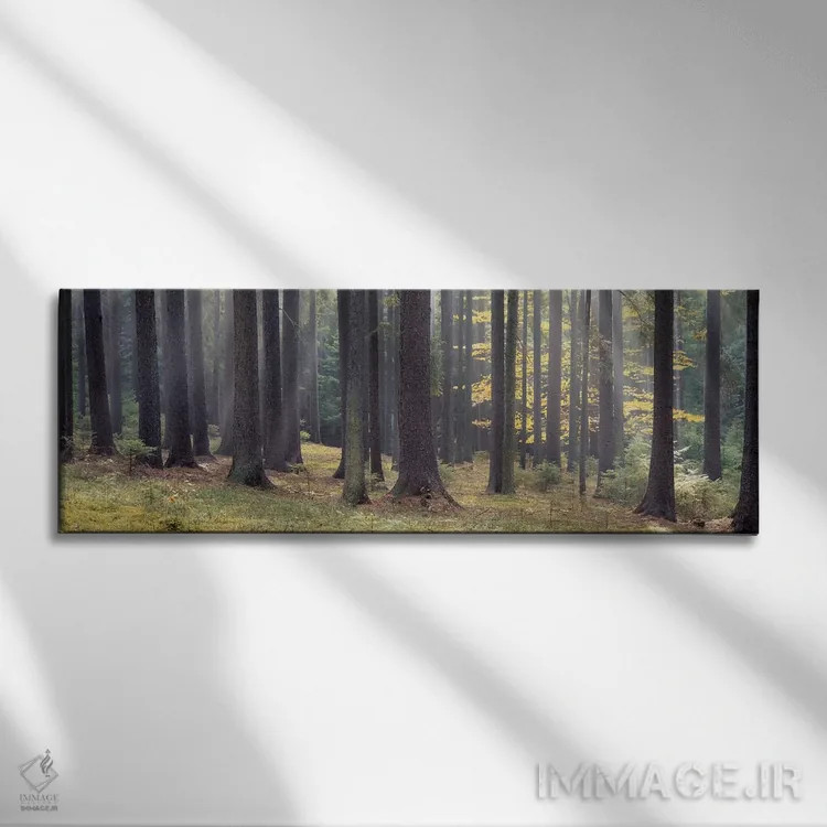 تابلو دکوراتیو South Bohemia, Czech Republic,درختان جنگل، بوهمیای جنوب… اثر پانورامیک ایمجز - نمای روبهرو روی دیوار