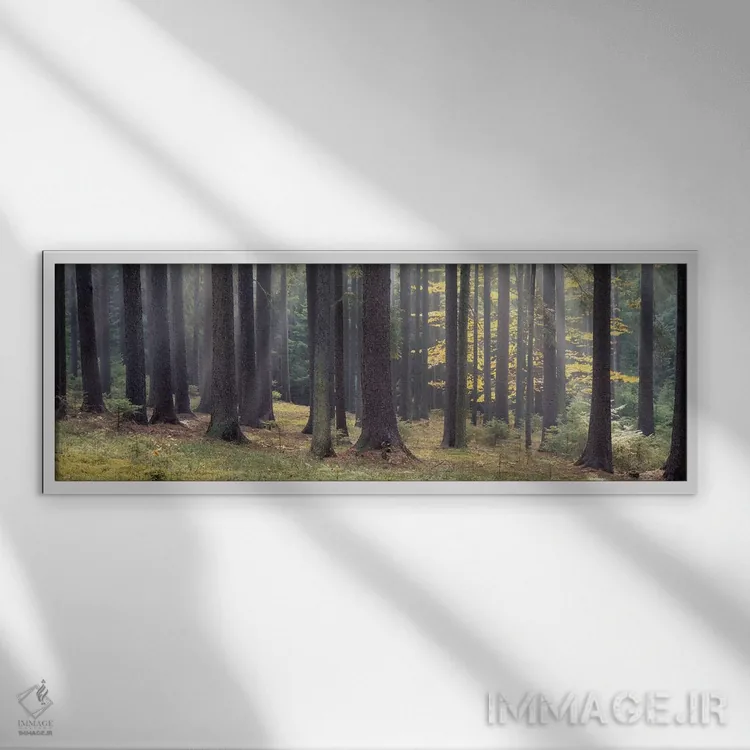 تابلو دکوراتیو South Bohemia, Czech Republic,درختان جنگل، بوهمیای جنوب… اثر پانورامیک ایمجز - نمای قابدار سفید