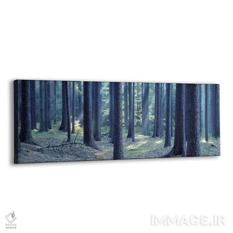 تابلو دکوراتیو South Bohemia, Czech Republic,درختان جنگل، بوهمیای جنوب… اثر پانورامیک ایمجز - نمای پرسپکتیو محصول