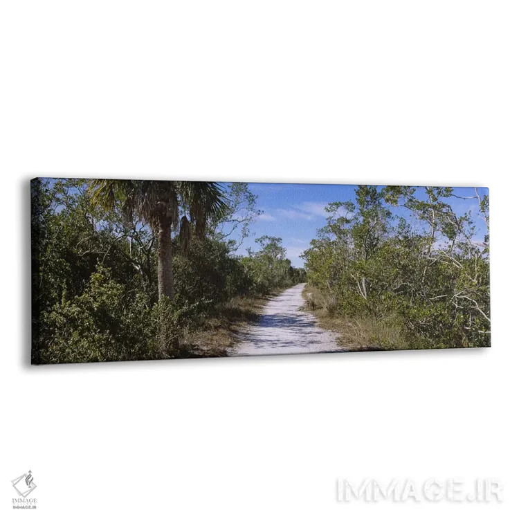 تابلو دکوراتیو Indigo Trail, J.N. Ding Darling National Wildlife Refug… اثر پانورامیک ایمجز - نمای پرسپکتیو محصول