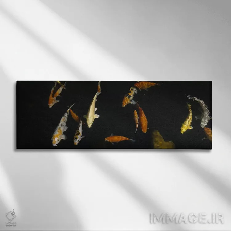 تابلو دکوراتیو Japanese Koi Fish, Capitol Aquarium, Sacramento, Califo… اثر پانورامیک ایمجز - نمای روبهرو روی دیوار