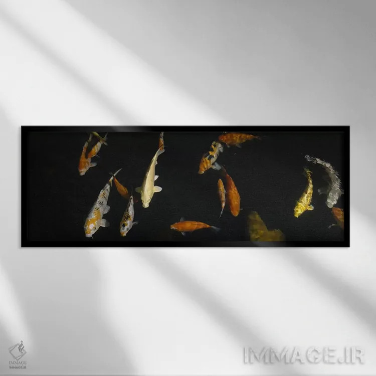 تابلو دکوراتیو Japanese Koi Fish, Capitol Aquarium, Sacramento, Califo… اثر پانورامیک ایمجز - نمای قابدار مشکی