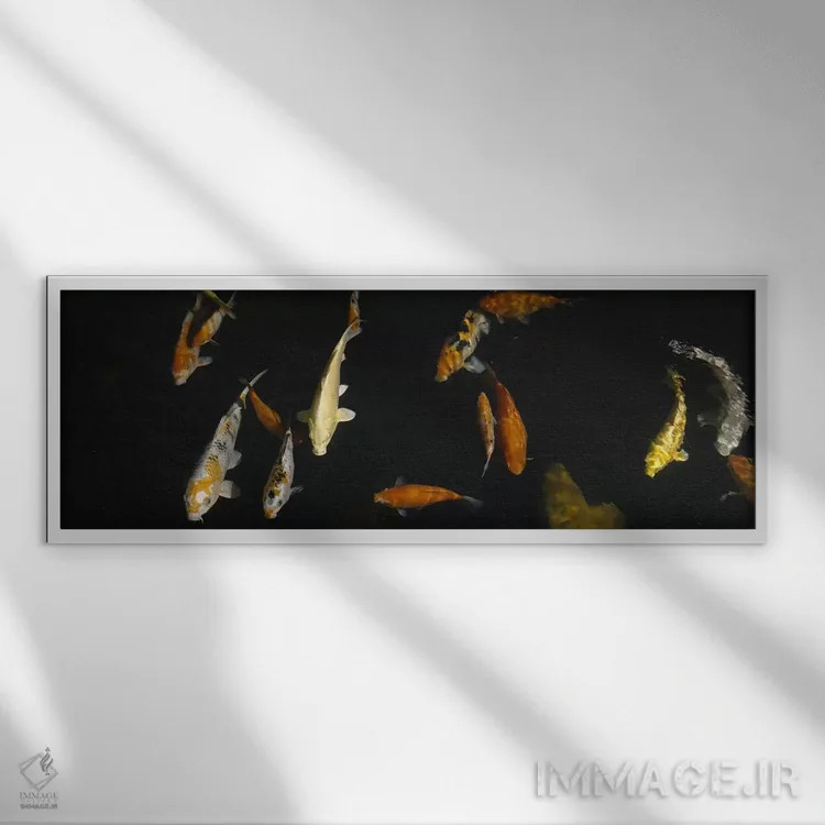 تابلو دکوراتیو Japanese Koi Fish, Capitol Aquarium, Sacramento, Califo… اثر پانورامیک ایمجز - نمای قابدار سفید