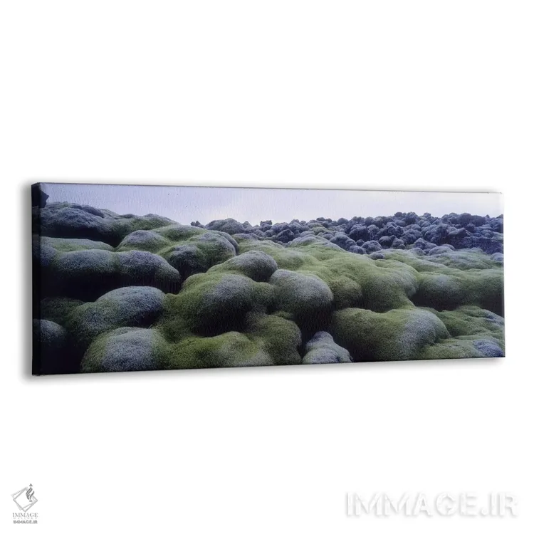 تابلو دکوراتیو Iceland,نمای نزدیک سنگ های آتشفشانی پوشیده از خزه، ایسل… اثر پانورامیک ایمجز - نمای پرسپکتیو محصول