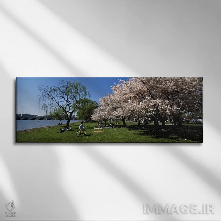 تابلو دکوراتیو Cherry Blossom, Washington DC, USA,گروهی از مردم در باغ… اثر پانورامیک ایمجز - نمای روبهرو روی دیوار
