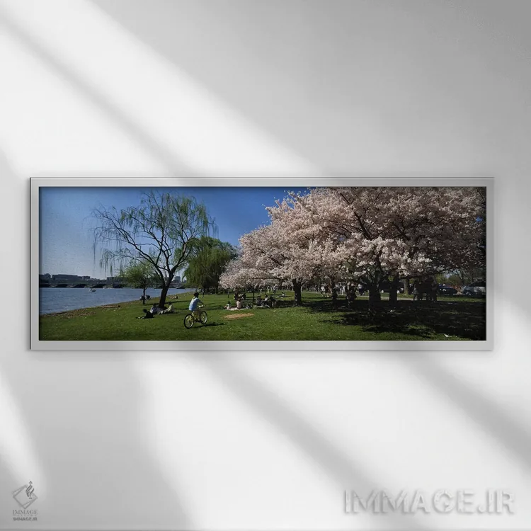 تابلو دکوراتیو Cherry Blossom, Washington DC, USA,گروهی از مردم در باغ… اثر پانورامیک ایمجز - نمای قابدار سفید