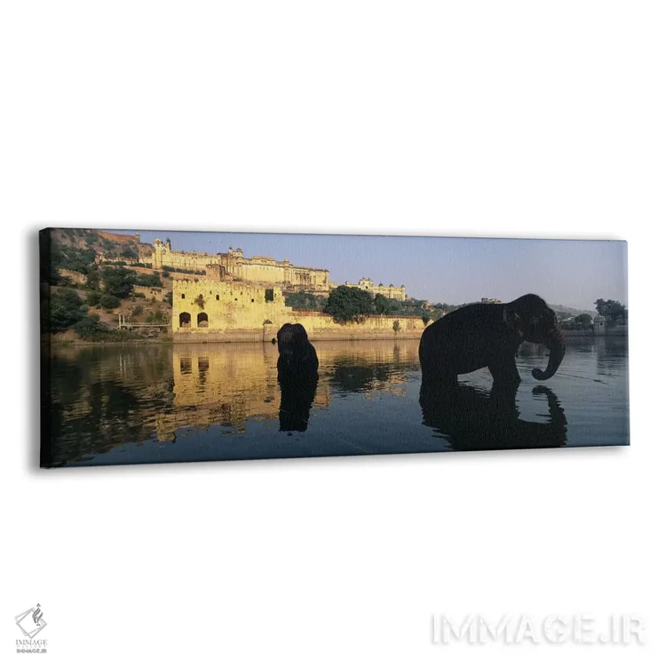 تابلو دکوراتیو Amber Fort, Jaipur, Rajasthan, India,سیلوئت دو فیل در ر… اثر پانورامیک ایمجز - نمای پرسپکتیو محصول