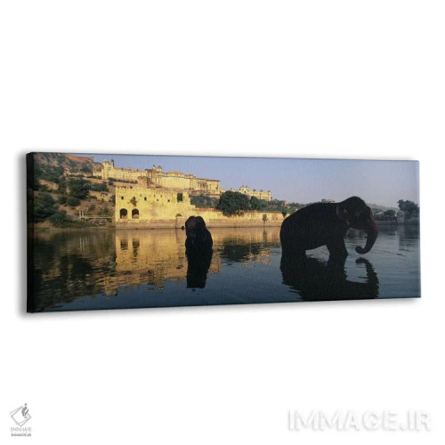 تابلو دکوراتیو Amber Fort, Jaipur, Rajasthan, India,سیلوئت دو فیل در ر… اثر پانورامیک ایمجز - نمای پرسپکتیو محصول