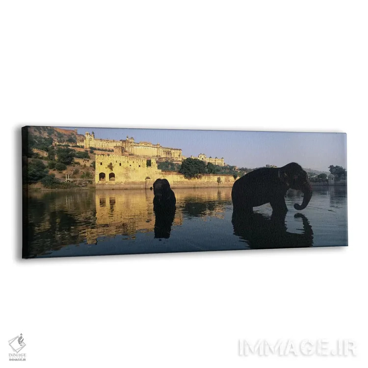 تابلو دکوراتیو Amber Fort, Jaipur, Rajasthan, India,سیلوئت دو فیل در ر… اثر پانورامیک ایمجز - نمای پرسپکتیو محصول