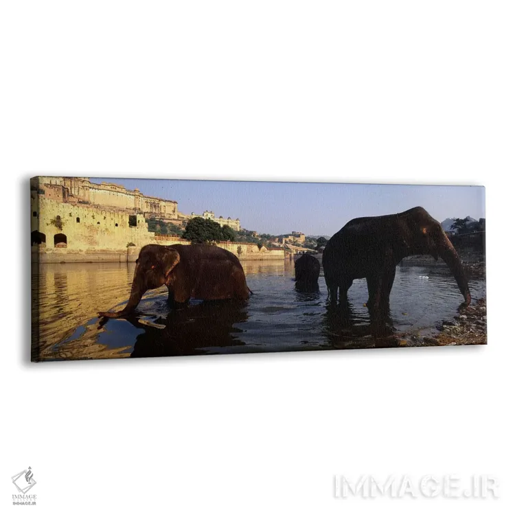 تابلو دکوراتیو Amber Fort, Jaipur, Rajasthan, India,سه فیل در رودخانه… اثر پانورامیک ایمجز - نمای پرسپکتیو محصول