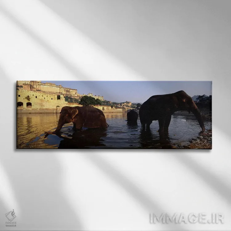 تابلو دکوراتیو Amber Fort, Jaipur, Rajasthan, India,سه فیل در رودخانه… اثر پانورامیک ایمجز - نمای روبهرو روی دیوار