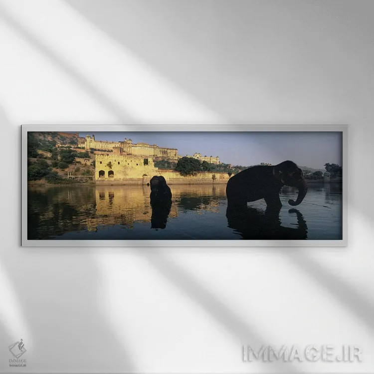 تابلو دکوراتیو Amber Fort, Jaipur, Rajasthan, India,سیلوئت دو فیل در ر… اثر پانورامیک ایمجز - نمای قابدار سفید