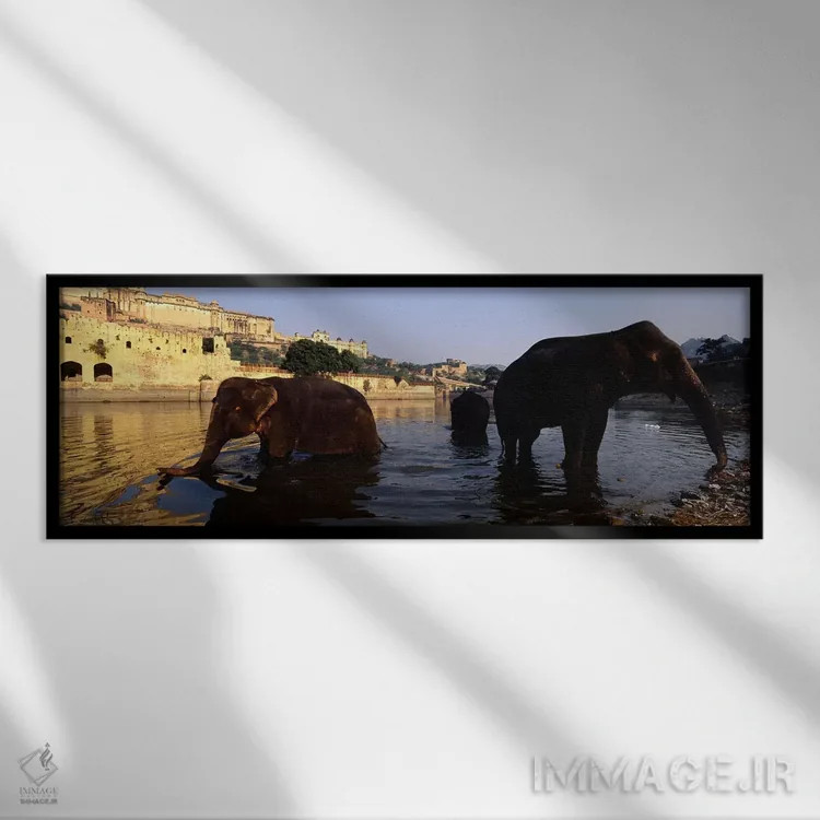 تابلو دکوراتیو Amber Fort, Jaipur, Rajasthan, India,سه فیل در رودخانه… اثر پانورامیک ایمجز - نمای قابدار مشکی