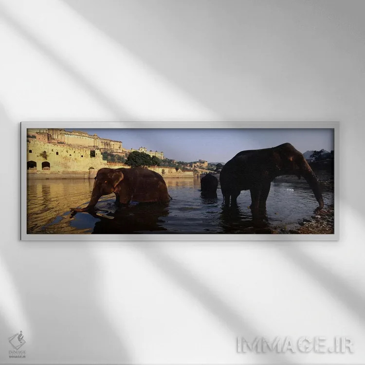 تابلو دکوراتیو Amber Fort, Jaipur, Rajasthan, India,سه فیل در رودخانه… اثر پانورامیک ایمجز - نمای قابدار سفید