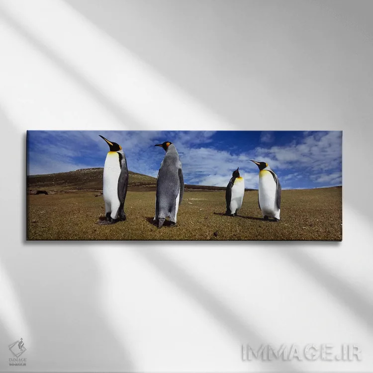 تابلو دکوراتیو Falkland Islands ,چهار پنگوئن شاه ایستاده بر چشم انداز… اثر پانورامیک ایمجز - نمای روبهرو روی دیوار