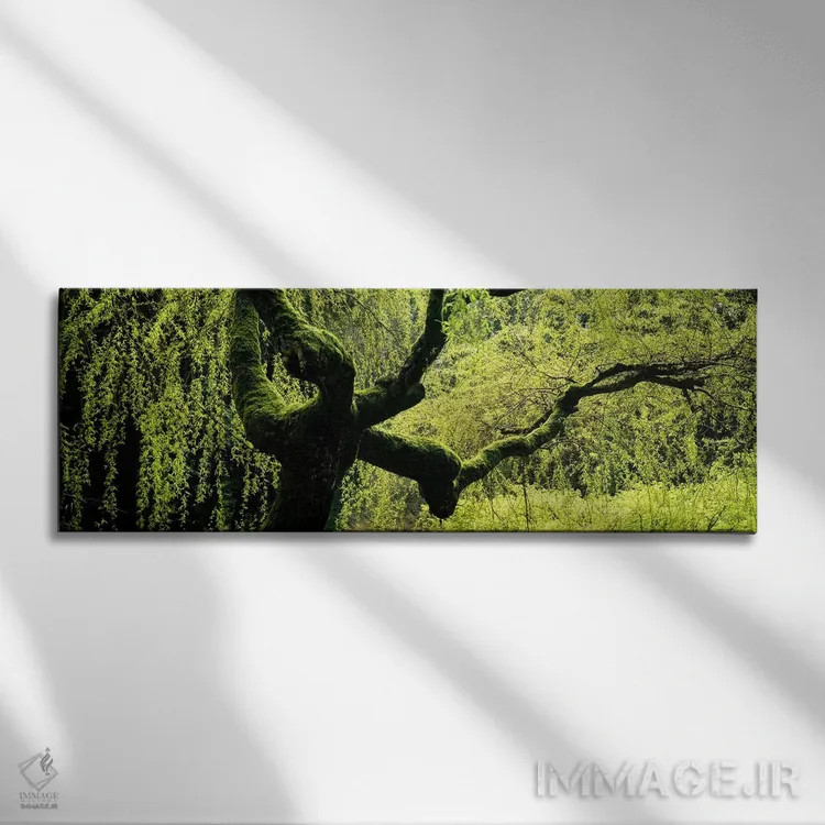 تابلو دکوراتیو Japanese Garden, Washington Park, Portland, Oregon, USA… اثر پانورامیک ایمجز - نمای روبهرو روی دیوار