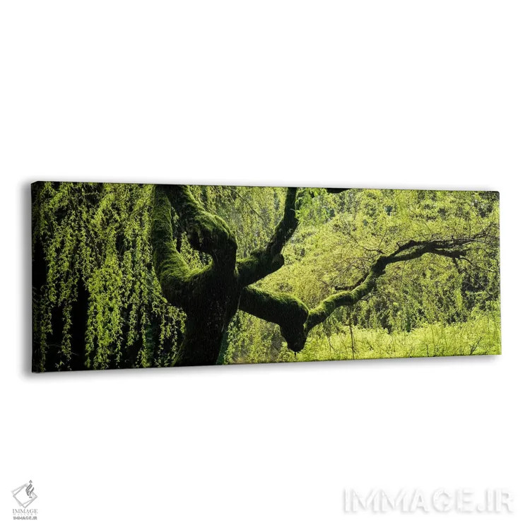 تابلو دکوراتیو Japanese Garden, Washington Park, Portland, Oregon, USA… اثر پانورامیک ایمجز - نمای پرسپکتیو محصول