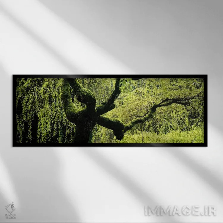 تابلو دکوراتیو Japanese Garden, Washington Park, Portland, Oregon, USA… اثر پانورامیک ایمجز - نمای قابدار مشکی