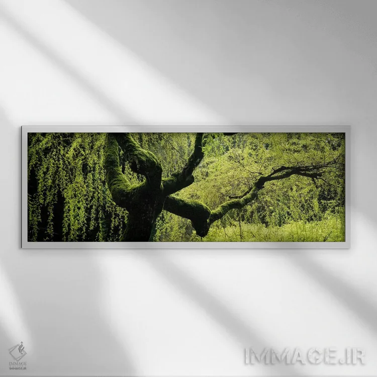 تابلو دکوراتیو Japanese Garden, Washington Park, Portland, Oregon, USA… اثر پانورامیک ایمجز - نمای قابدار سفید