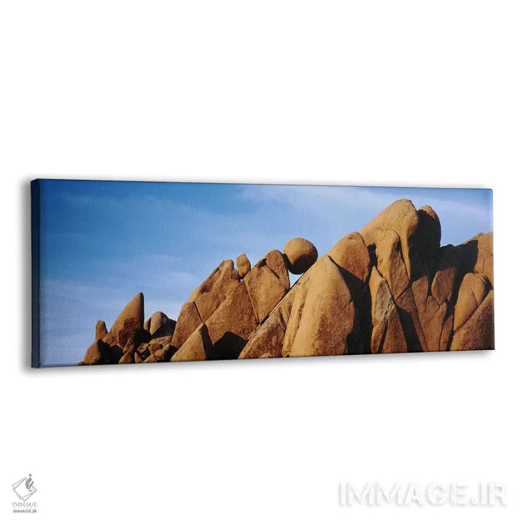 تابلو دکوراتیو Joshua Tree National Park, California, USA,نمای نزدیک ا… اثر پانورامیک ایمجز - نمای پرسپکتیو محصول