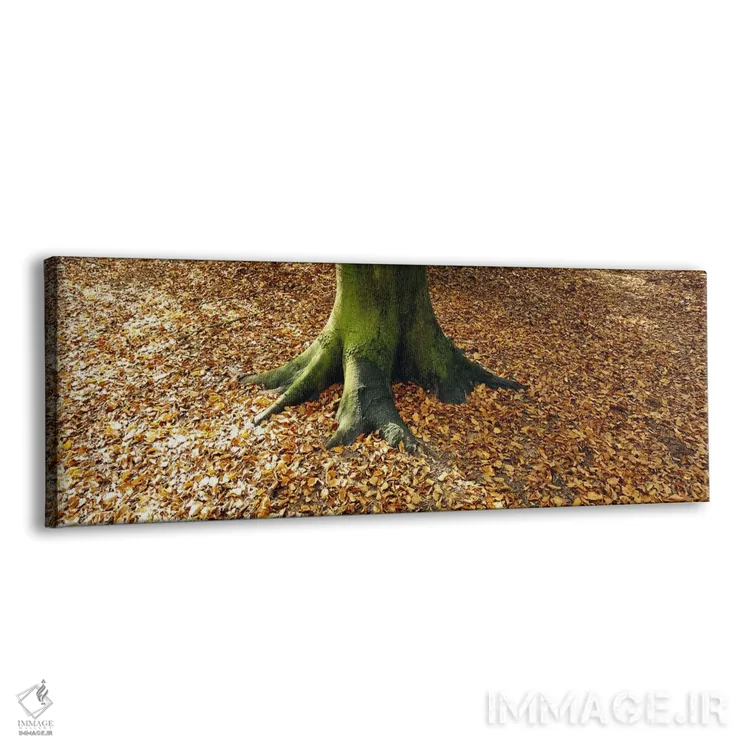 تابلو دکوراتیو Berlin, Germany,نمای پایین از تنه درخت، برلین، آلمان اثر پانورامیک ایمجز - نمای پرسپکتیو محصول