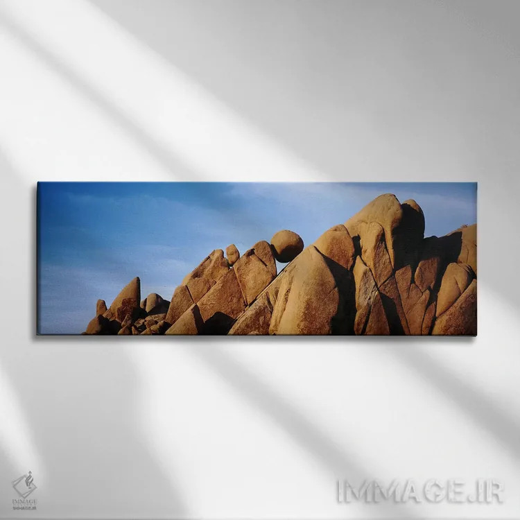 تابلو دکوراتیو Joshua Tree National Park, California, USA,نمای نزدیک ا… اثر پانورامیک ایمجز - نمای روبهرو روی دیوار