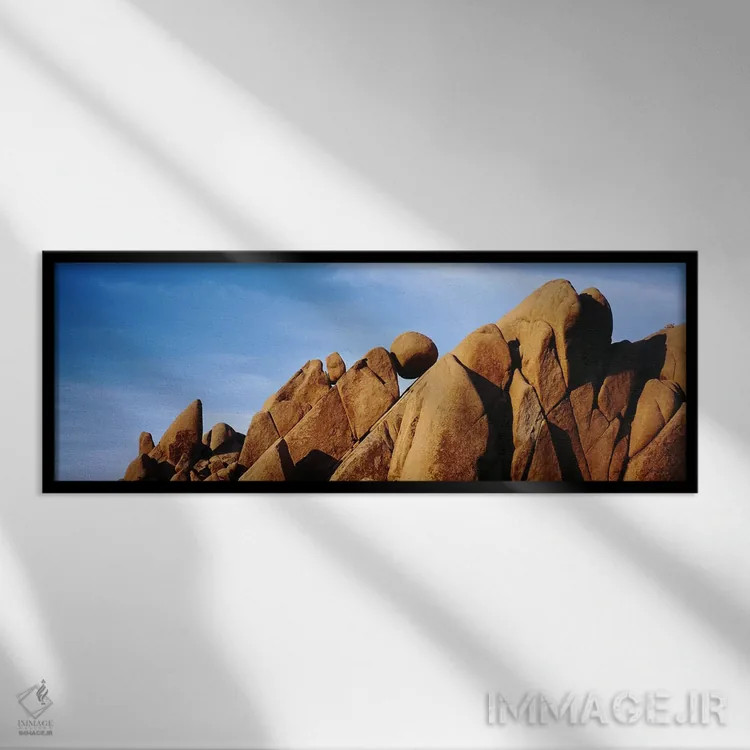 تابلو دکوراتیو Joshua Tree National Park, California, USA,نمای نزدیک ا… اثر پانورامیک ایمجز - نمای قابدار مشکی