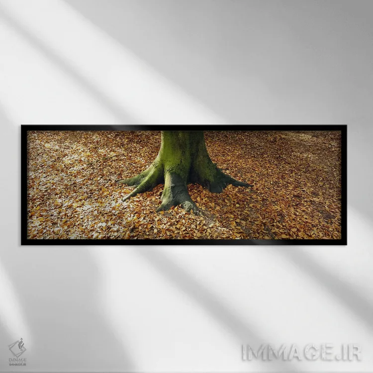 تابلو دکوراتیو Berlin, Germany,نمای پایین از تنه درخت، برلین، آلمان اثر پانورامیک ایمجز - نمای قابدار مشکی