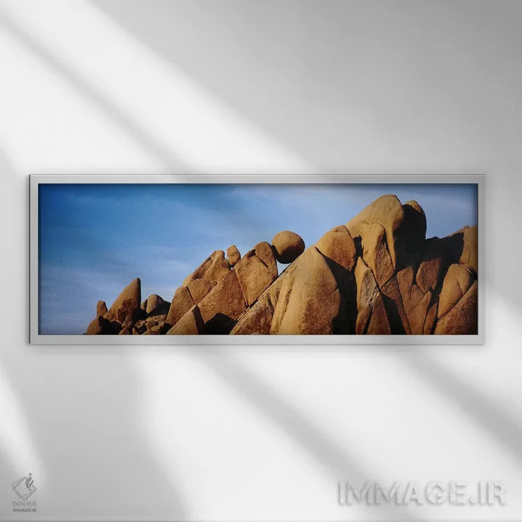 تابلو دکوراتیو Joshua Tree National Park, California, USA,نمای نزدیک ا… اثر پانورامیک ایمجز - نمای قابدار سفید