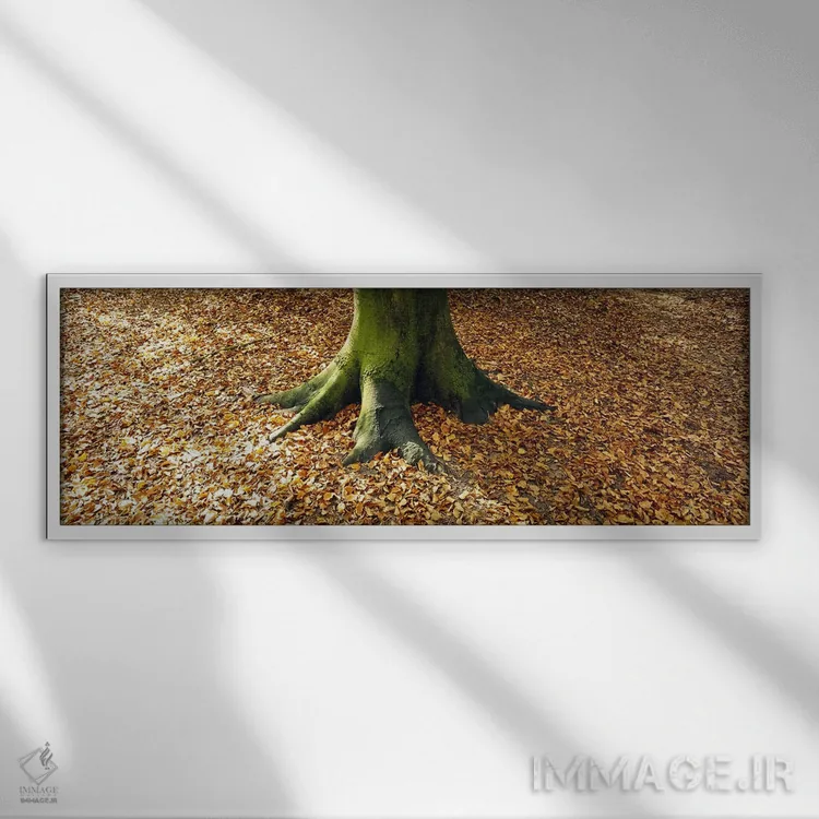 تابلو دکوراتیو Berlin, Germany,نمای پایین از تنه درخت، برلین، آلمان اثر پانورامیک ایمجز - نمای قابدار سفید